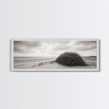Windswept Dunes, Coastal Brush, Tumbleweed Form, Beach Nature, Framed Canvas Print, Fall Wall Art, Rustic Decor, Neutral Bedroom Style