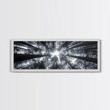 Redwood Trees, Forest Canopy, Looking Upward, Canvas Print, Black and White Nature Art, Meditation Room Decor, Minimalist Wall Art