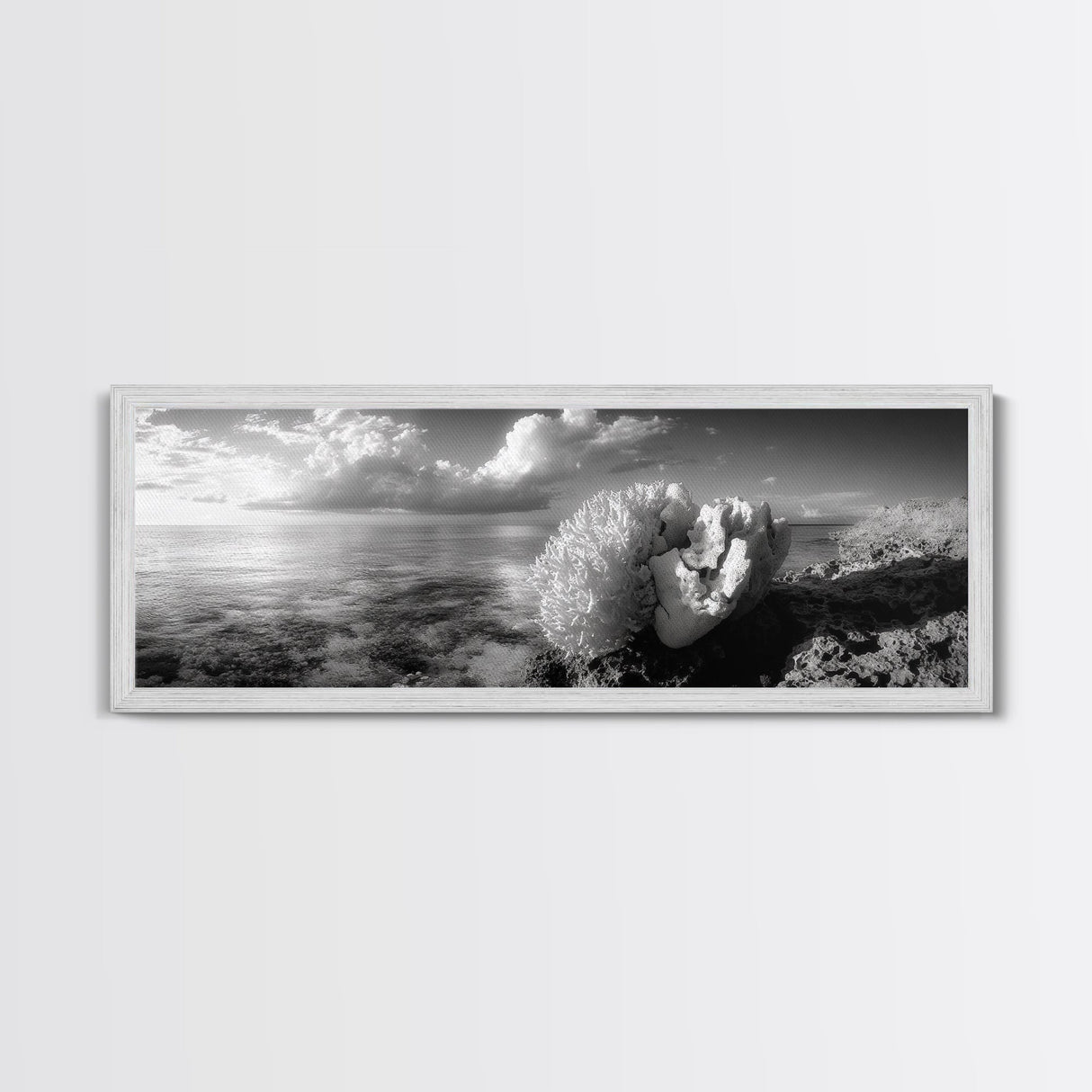 Sea Coral, Calm Ocean, Reef Textures, Framed Canvas Print, Coastal Bathroom Art, Monochrome Ocean Decor, Nature Photography Accent
