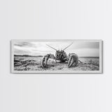 Lobster Closeup, Coastal Wildlife, Sandy Beach, Canvas Print, Bold Marine Life Art, Bathroom Wall Decor, Nautical Themed Accent