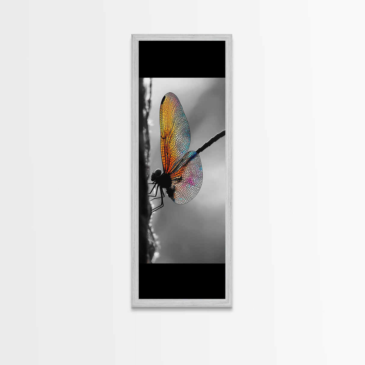 Rainbow Wings, Close Up, Dragonfly Beauty, Nature Macro – Canvas Print, Boho Wall Art, Nursery Decor, Insect Photography, Colorful Accent