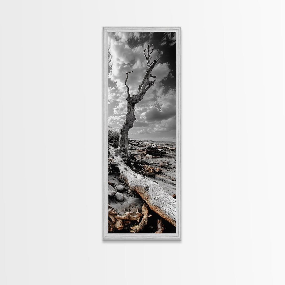 Weathered Tree, Coastal Roots, Dramatic Sky, Natural Form – Canvas Print, Living Room Wall Art, Monochrome Photography, Driftwood Decor