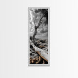 Weathered Tree, Coastal Roots, Dramatic Sky, Natural Form – Canvas Print, Living Room Wall Art, Monochrome Photography, Driftwood Decor