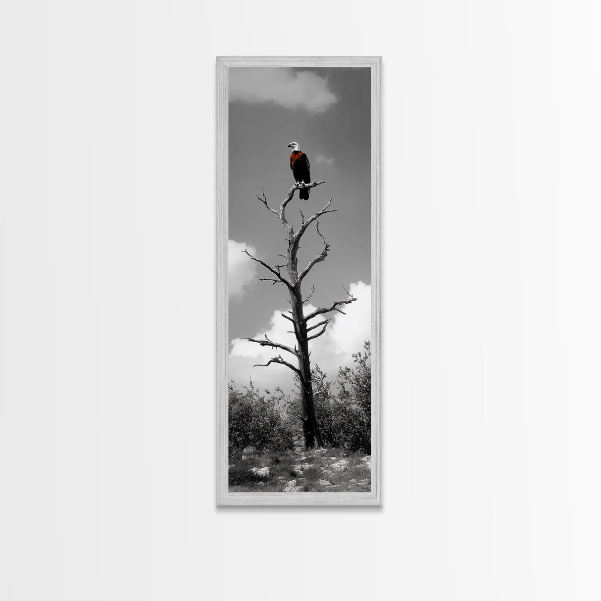 Lone Eagle, Tree Perch, Wild Raptor, Fierce Freedom, Canvas Print, Rustic Wildlife Wall Art, Cabin Lodge Decor, Dramatic Nature Scene