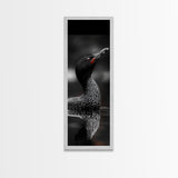 Loon Bird, Red Eye, Monochrome Wildlife, Nature Framed Canvas Print, modern living room wall art, black and white animal art