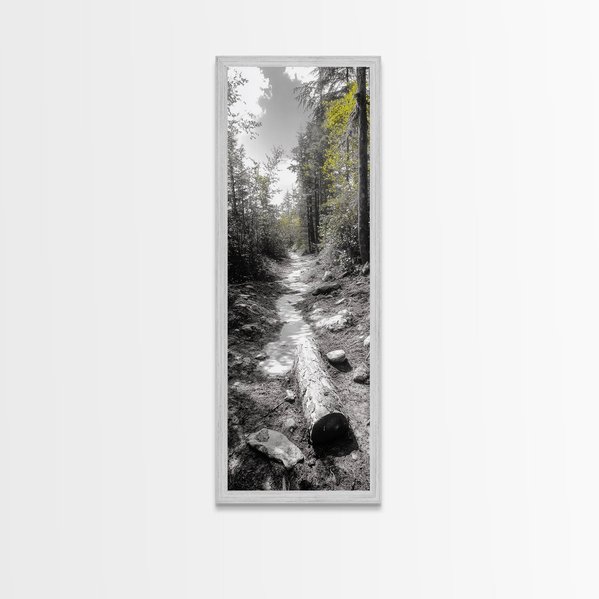 Forest Path, Autumn Leaves, Nature Trail, Framed Canvas Print, Black and White Wall Art, Cabin Decor, Rustic Hallway Accent
