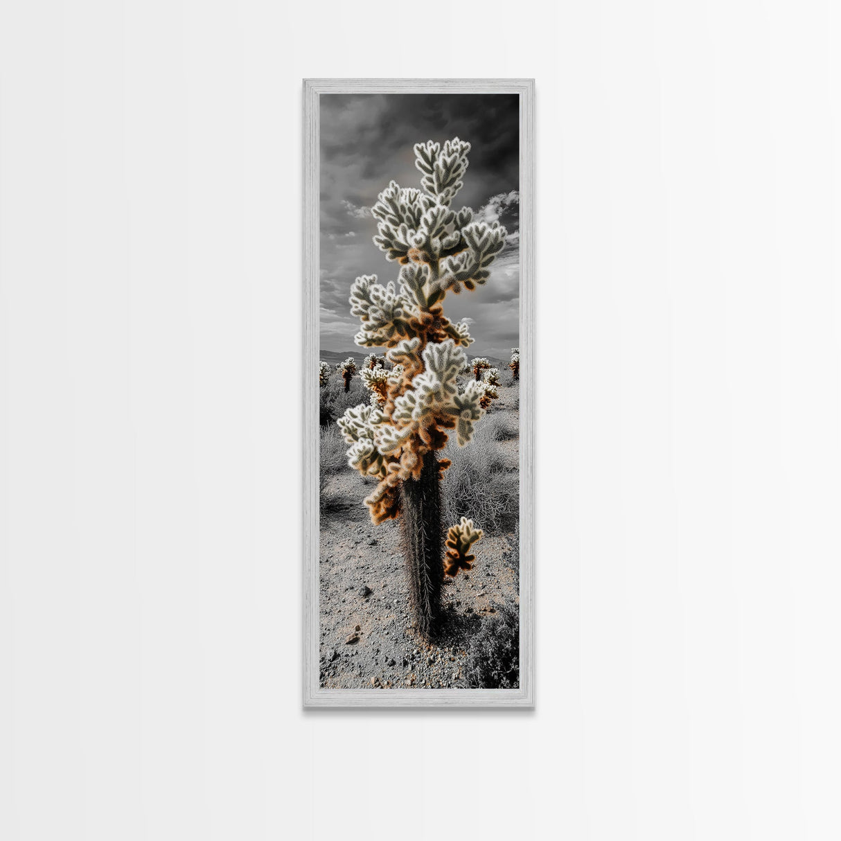 Cholla Cactus Desert, Southwestern Nature Scene, Spiky Plant Decor, Framed Canvas Print, Minimalist Boho Art, Sunroom or Entryway Style