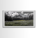 Mountain, Meadow, Wildflowers, Alpine meadow bloom and majestic peak on this Framed Canvas Print, serene Nature Wall Art for Entryway