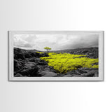 Lone Tree Lava, Surreal Earth Tones Decor, Abstract Volcanic Art, Black and Yellow Landscape, Canvas Print, Boho Living Room Accent