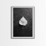 Monochrome Leaf, Nature Minimal, Still Life, Moody Art, Framed Canvas Print, Fall Wall Art, Kitchen Decor, Neutral Modern Aesthetic