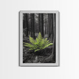 Green Fern, Forest Focus, Lush Nature, Woodland Light, Framed Canvas Print, Botanical Wall Art, Bedroom Decor, Minimalist Plant Art