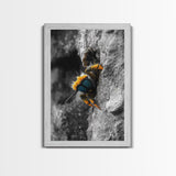 Fuzzy Bee Closeup, Insect Macro, Nature Texture, Framed Canvas Print, Wildlife Wall Art, Entomology Decor, Nature Photography