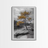 Golden Tree View, Nature Serenity, Fall Lake Art, Peaceful Pine, Framed Canvas Print, living room wall art, minimalist landscape print