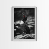 Loon Call, Singing Bird, Red Beak, Monochrome Framed Canvas Print, Wildlife Wall Decor, Bird Lover Wall Art, Rustic Cabin Accent