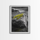 Mossy Stone Closeup, Earthy Nature Texture, Minimal Landscape Print, Framed Canvas Print, Modern Office Wall Decor, Zen Rock Art