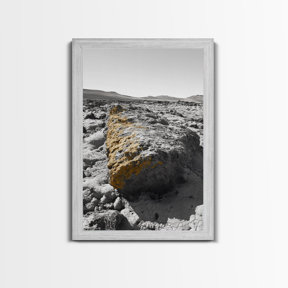 Yellow Lichen Rock, Monochrome Landscape, Desert Texture, Canvas Print, Rustic Wall Art, Minimalist Decor, Entryway or Office Art
