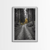 Forest Path, Yellow Trees, Autumn Trail, Framed Canvas Print, Fall Wall Art, Woodland Nature Decor, Cozy Home Accent, Entryway Artwork