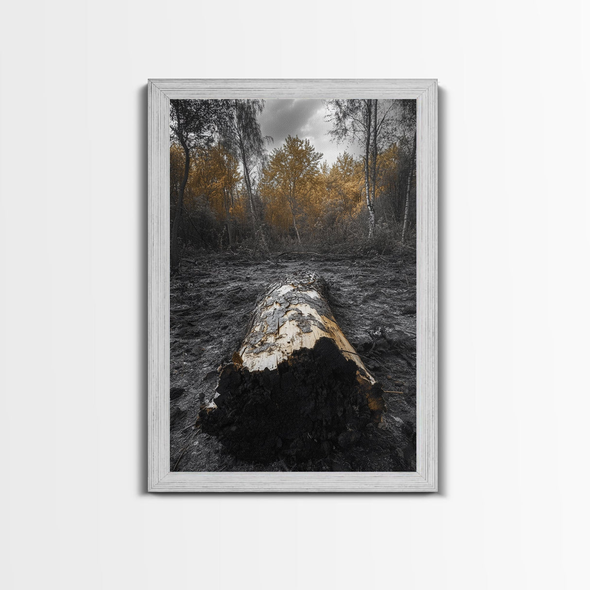 Fallen Log, Autumn Forest, Nature Transition, Framed Canvas Print, Rustic Fall Decor, Cabin Wall Art, Woodland Photography