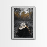 Fallen Log, Autumn Forest, Nature Transition, Framed Canvas Print, Rustic Fall Decor, Cabin Wall Art, Woodland Photography