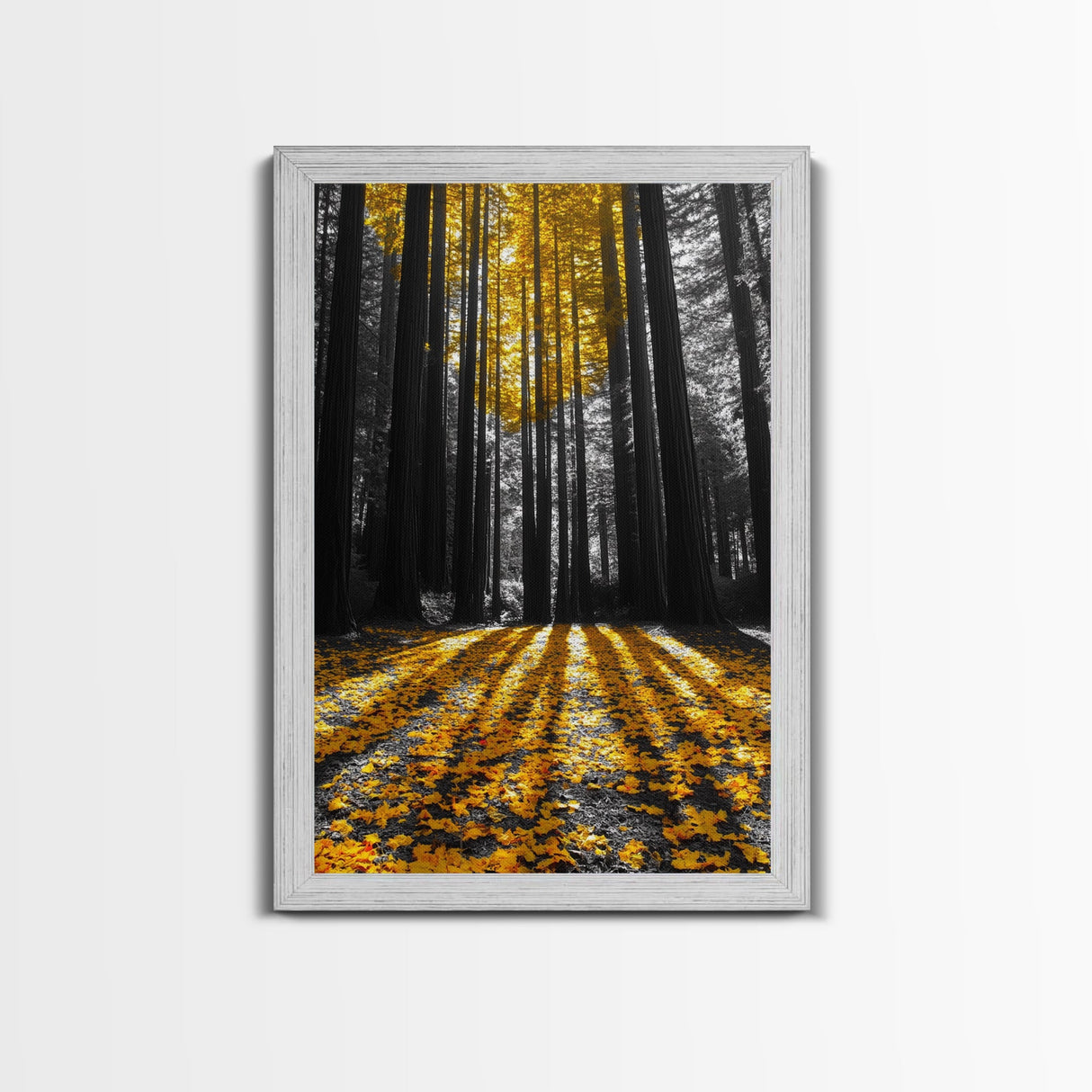 Golden Forest Light, Fall Leaves, Tall Trees Shadows, Tranquil Scene, Framed Canvas Print, Autumn Wall Art, Boho Living Room Decor