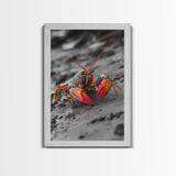 Colorful Lobster, Beach Wildlife, Close-Up Macro Art, Framed Canvas Print, Kitchen Wall Art, Coastal Marine Decor, Vibrant Style