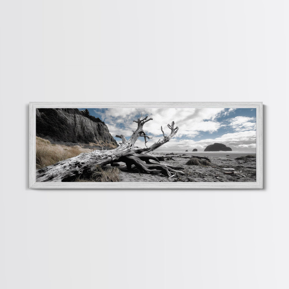 Driftwood, Coastal Tree, Beach Skeleton, Ocean Landscape, Framed Canvas Print, Coastal Decor, Neutral Tones, Office Wall Art