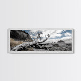 Driftwood, Coastal Tree, Beach Skeleton, Ocean Landscape, Framed Canvas Print, Coastal Decor, Neutral Tones, Office Wall Art
