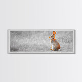 Orange Rabbit, Grass Field, Whimsical Nature, Framed Canvas Print, kids room wall art, nursery animal print, neutral nursery, woodland boho