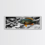 Colorful Fish Closeup, Underwater Art, Nature Photography, Canvas Print, Coastal Bathroom Decor, Vibrant Marine Life Wall Art