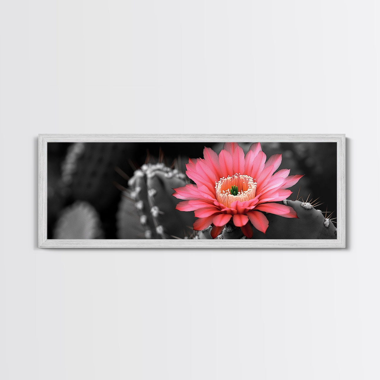 Desert Bloom, Cactus Flower, Vibrant Petals, Nature Beauty, Framed Canvas Print, Boho Wall Art, Living Room Decor, Pink Flower Photography