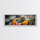 Closeup Lobster Claws, Colorful Sea Creature Art, Bold Detail Nature Print, Framed Canvas Print, Kitchen Wall Art, Tropical Coastal Decor
