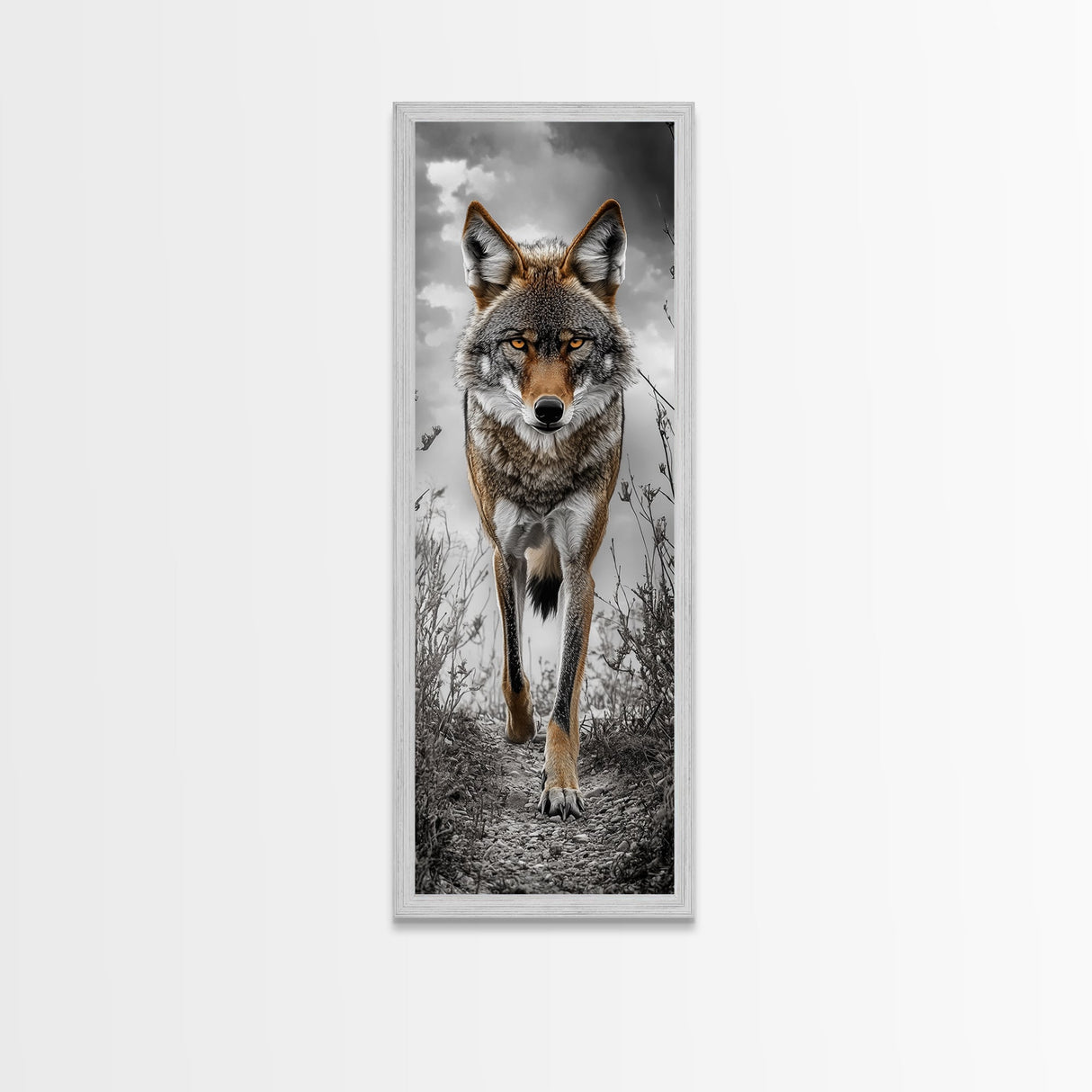 Intense Coyote Stare Framed Canvas Print | Wildlife Wall Art | Rustic Decor | Moody Art | Southwest Wall Art | Above Sofa Art | Gift Idea