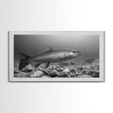 Trout, Fly Fishing Art, Rustic Decor, Coastal Wall Art, Lake Tahoe Art, Fishing Art, Nautical Painting, Framed Canvas Print