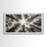Redwood Trees, Pine Tree Art, Nature Photography, Joshua Tree Art, Extra Wide Art, Forest at Dusk Painting, Canvas Print