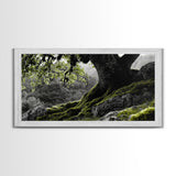 Mossy Oak Tree, oak tree art, nature wall art, rustic art, botanical prints, green wall art, extra wide art, Framed Canvas Print