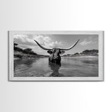 Longhorn in Water, rustic art, western decor, bull and bear art, cowboy wall art, farmhouse art, panoramic art, Framed Canvas Print