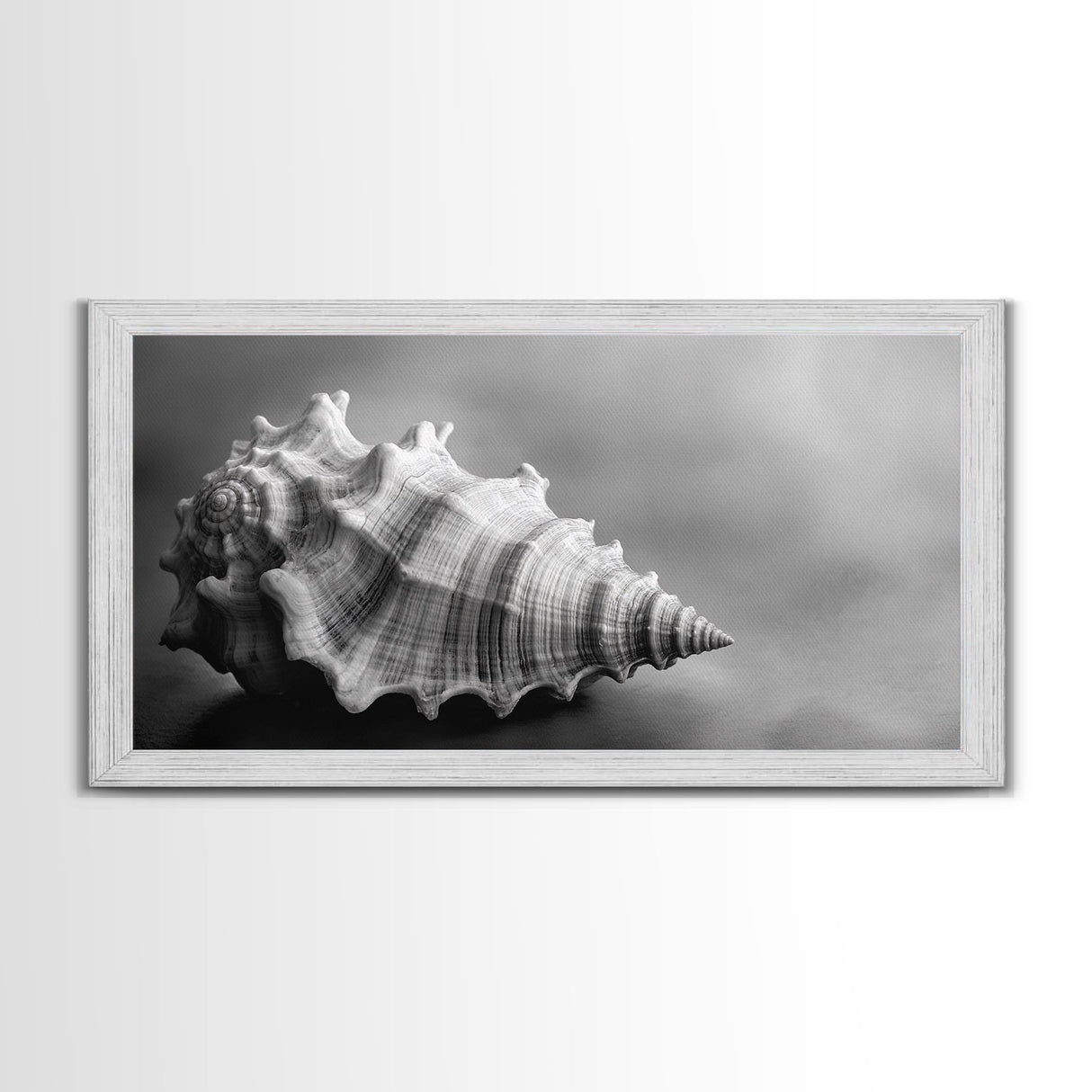 Sea Shell, Wabi Sabi Art, Coastal Decor, Minimalist Art, Nautical Wall Art, Moody Art, Extra Wide Art, Framed Canvas Print