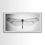 Dragonfly, line art, minimalist art, black and white art, nature painting, botanical prints, extra wide art, framed canvas print