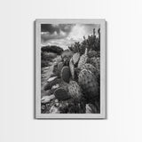 Cactus Trail, southwest wall art, rustic decor, desert painting, wabi sabi art, nature landscape art, framed canvas print, farmhouse decor