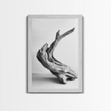 Driftwood Sculpture, wabi sabi art, rustic decor, minimalist art, botanical prints, farmhouse art, framed canvas print, living room art