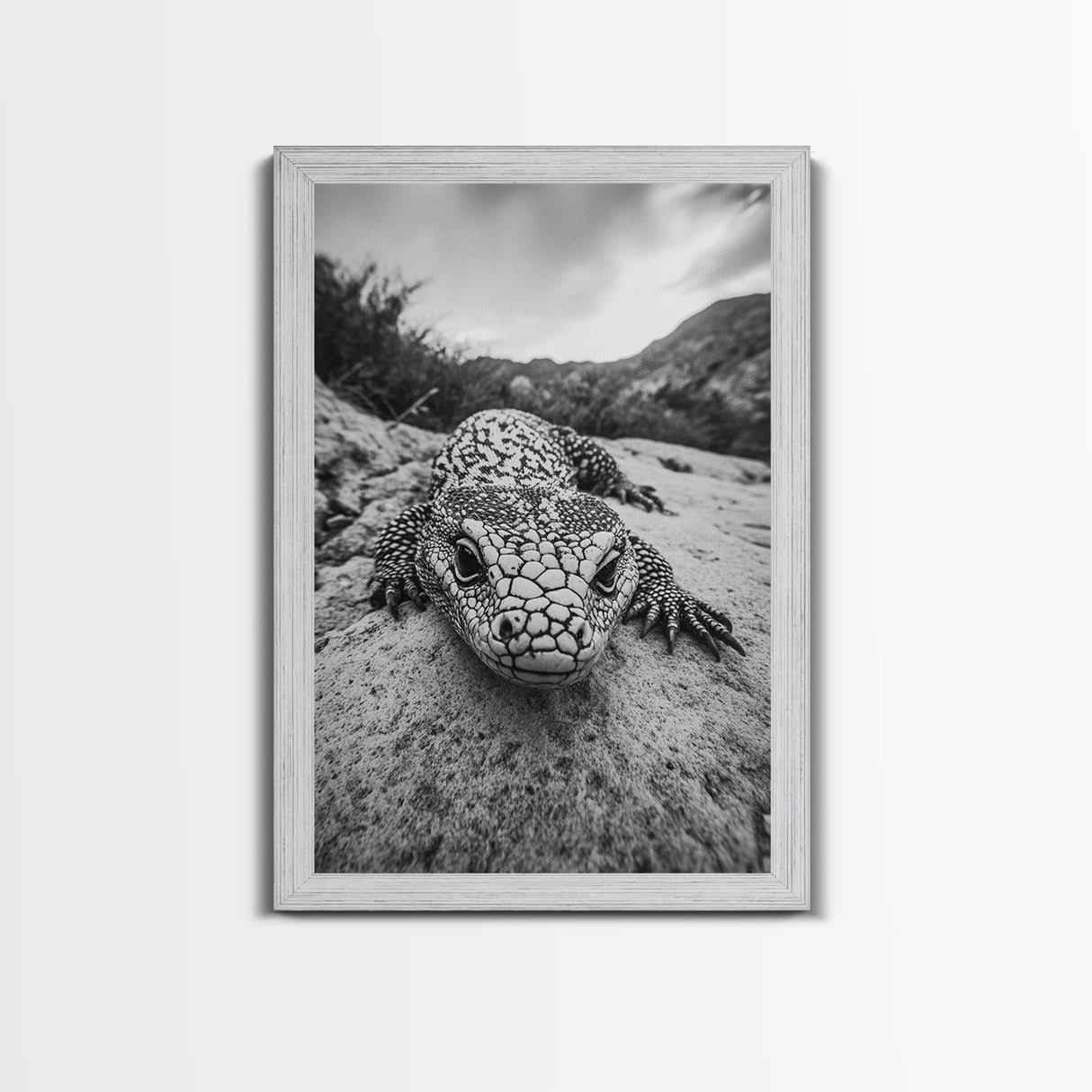 Lizard art, wildlife photography, moody art, desert decor, black and white photography, wabi sabi wall art, framed canvas print, unique gift
