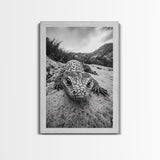 Lizard art, wildlife photography, moody art, desert decor, black and white photography, wabi sabi wall art, framed canvas print, unique gift