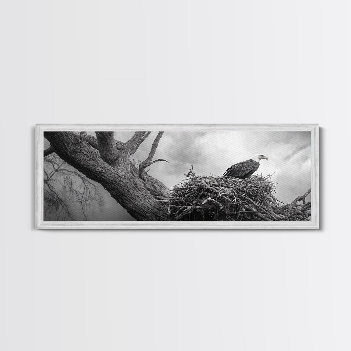 Bald Eagle Nest, Wildlife Art, Nature Photography, Moody Art, Rustic Decor, Horizontal Wall Art, Framed Canvas Print, Bedroom Art