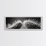 Desert Cactus, southwest wall art, moody art, Joshua tree art, extra wide wall art, nature photography, framed canvas print
