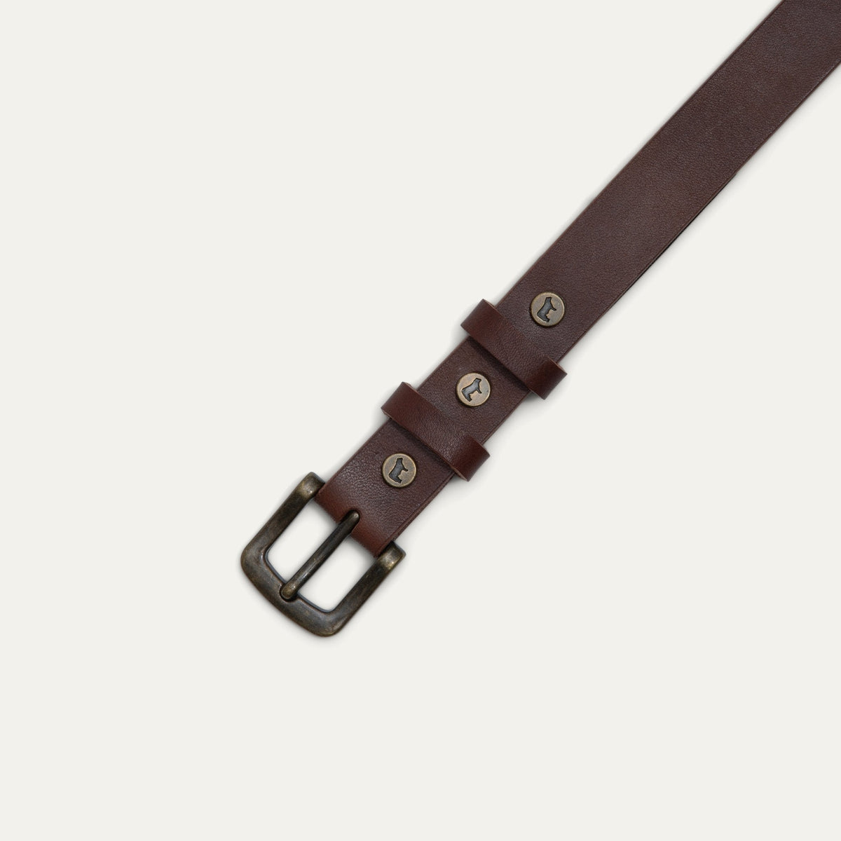 Close-up of dark brown leather belt showing the double loop keepers with brass studs embossed with a cow logo.