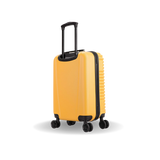 Ally Carry On 20"