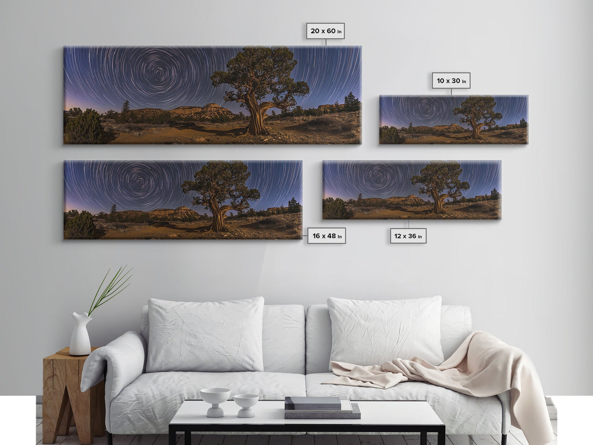 Time Lapse Photography Style Print, Panoramic Wall Art, Starry Night Sky Photo Print, Joshua Tree