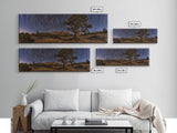 Time Lapse Photography Style Print, Panoramic Wall Art, Starry Night Sky Photo Print, Joshua Tree