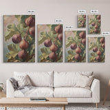 Figs On The Vine Framed Canvas Print - Kitchen Wall Art - Figs Painting