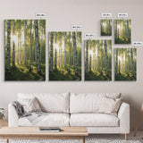 Morning Sunlight Birch Tree Art Canvas Print Natural Landscape Gift Rustic Farmhouse Vertical Artwork Home Decor Above Bed